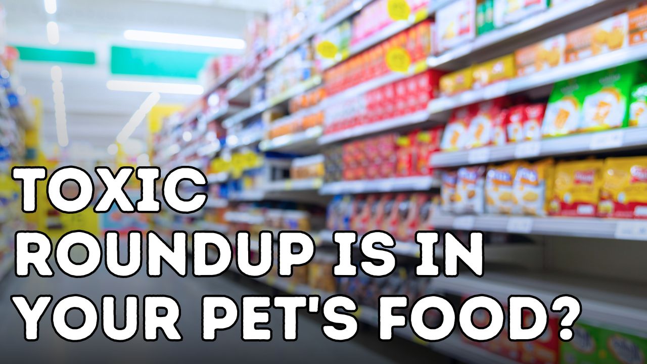 Is Your Pet’s Food Contaminated with RoundUp™ (Glyphosate)?