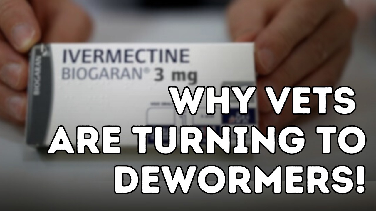 A Newly Published  Cancer Treatment is Turning Heads: Animal Dewormers?