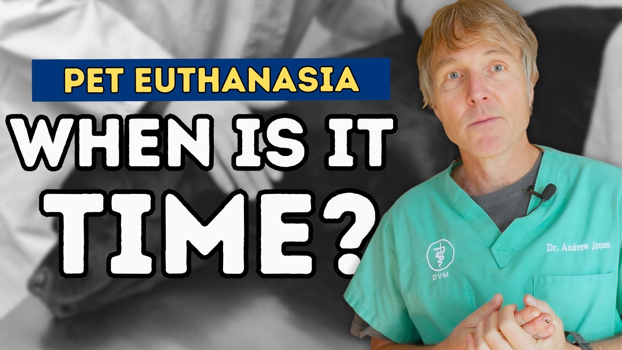 Euthanasia in Pets: Recognizing the Right Time and What to Expect