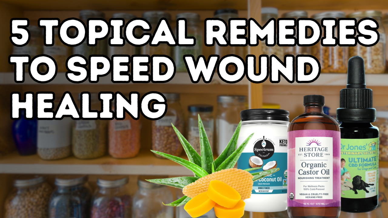 Caught a Wave and Some Bruises! 5 Awesome Natural Remedies to Heal Wounds Faster