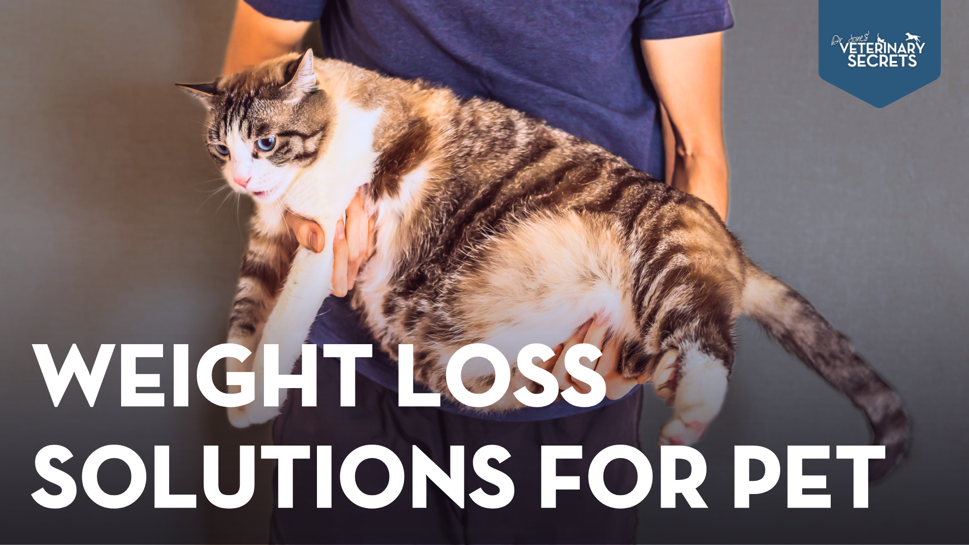 Get Your Pet in Shape! Easy Natural Remedies for Faster Weight Loss