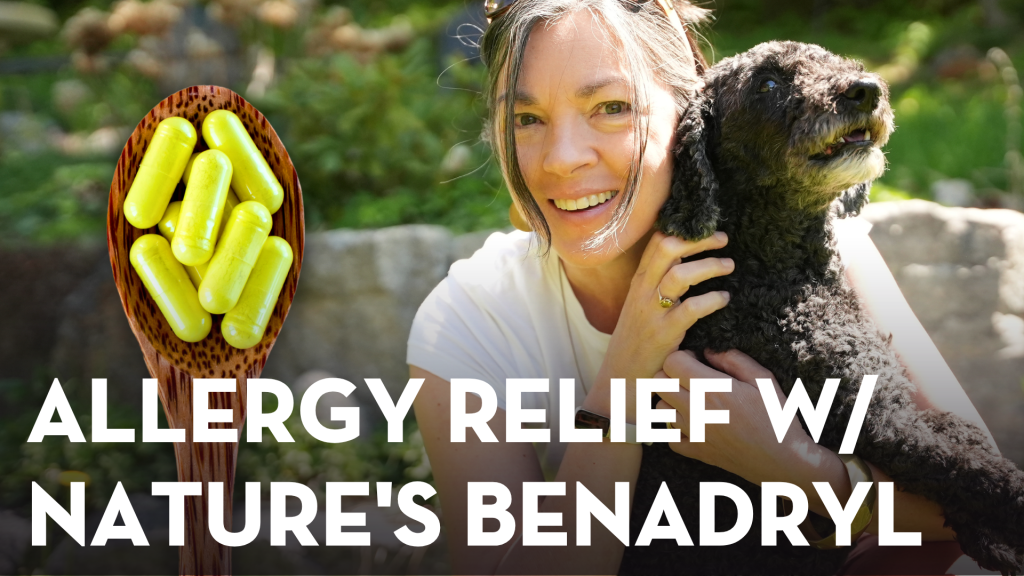 Picture of How to Stop Your Dog from Itching with Nature's Benadryl - Veterinary ...