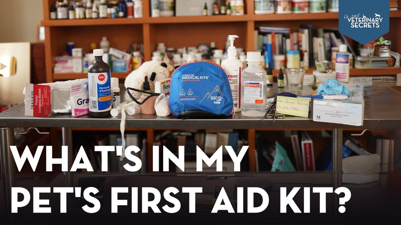 Dr. Jones’ Essential Pet First Aid Kit for EMERGENCY Situations