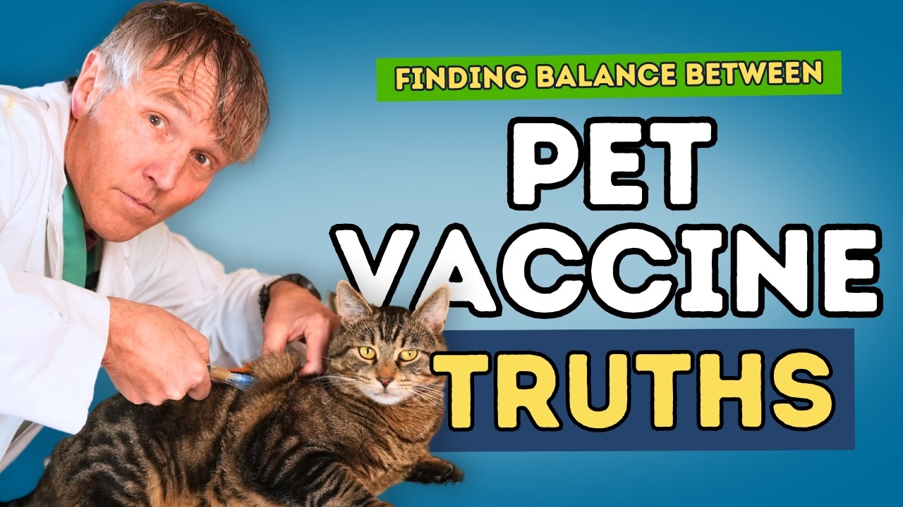 What’s the Safest Vaccine Schedule for Pets? Find Out Here!