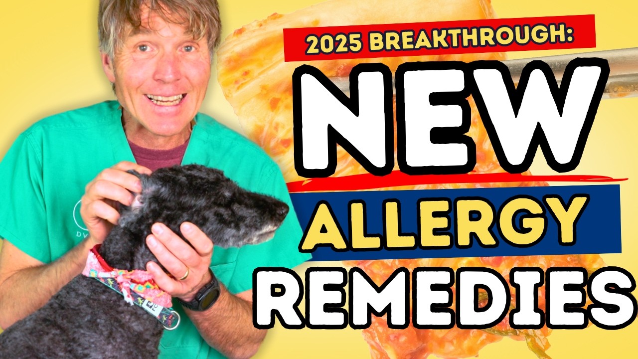 3 Natural Treatments for Pet Allergies Backed by Science