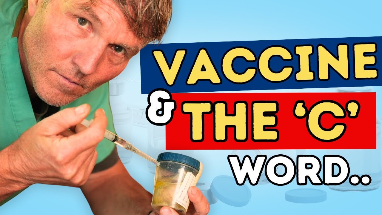 Can Pet Vaccines Cause Cancer? Dr. Jones Explains