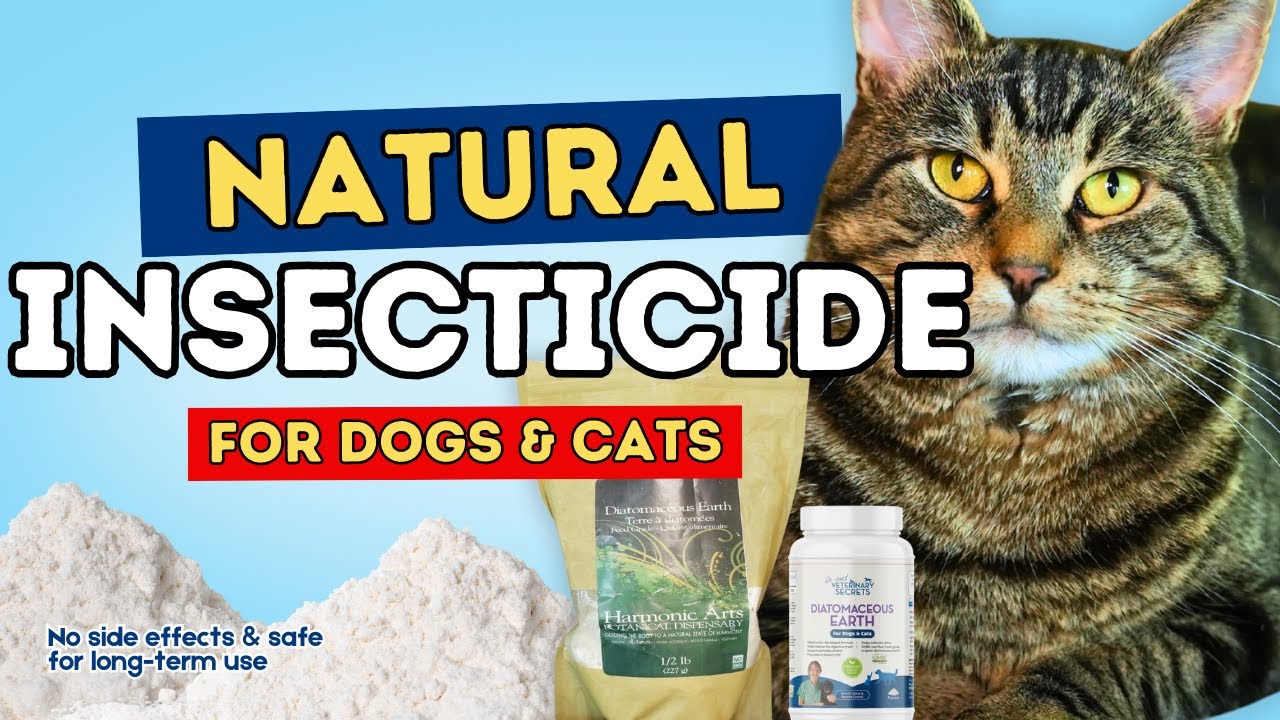 Natural Parasite Control for Pets: Diatomaceous Earth’s Benefits and Uses