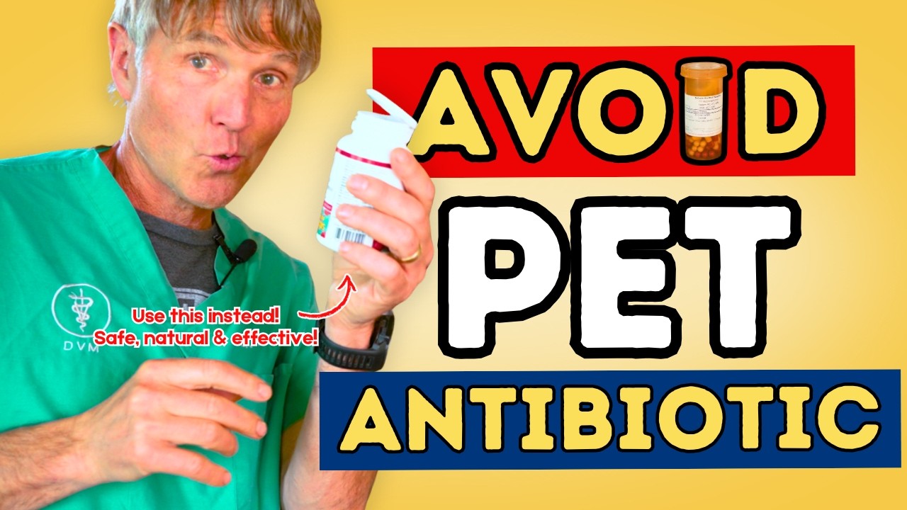 8 Natural Antibiotics for Pets: Effective Alternatives to Antibiotics