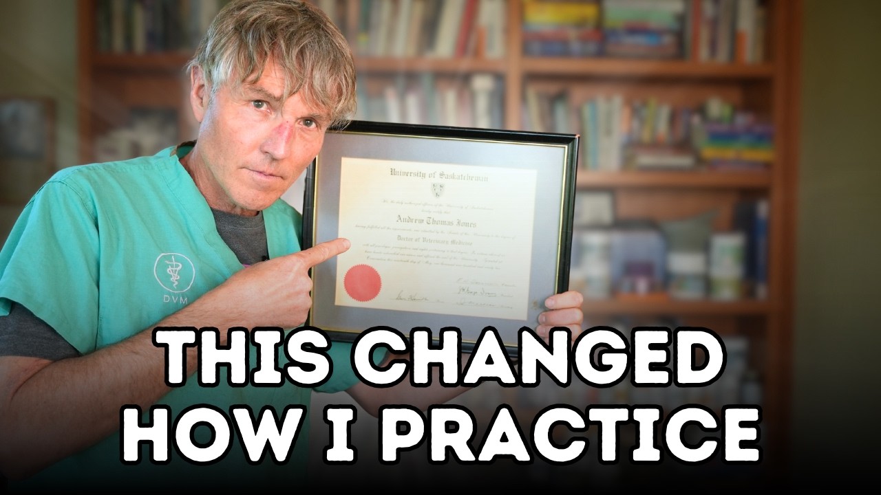 I Treated Thousands of Pets — These 15 Lessons Changed How I Practice