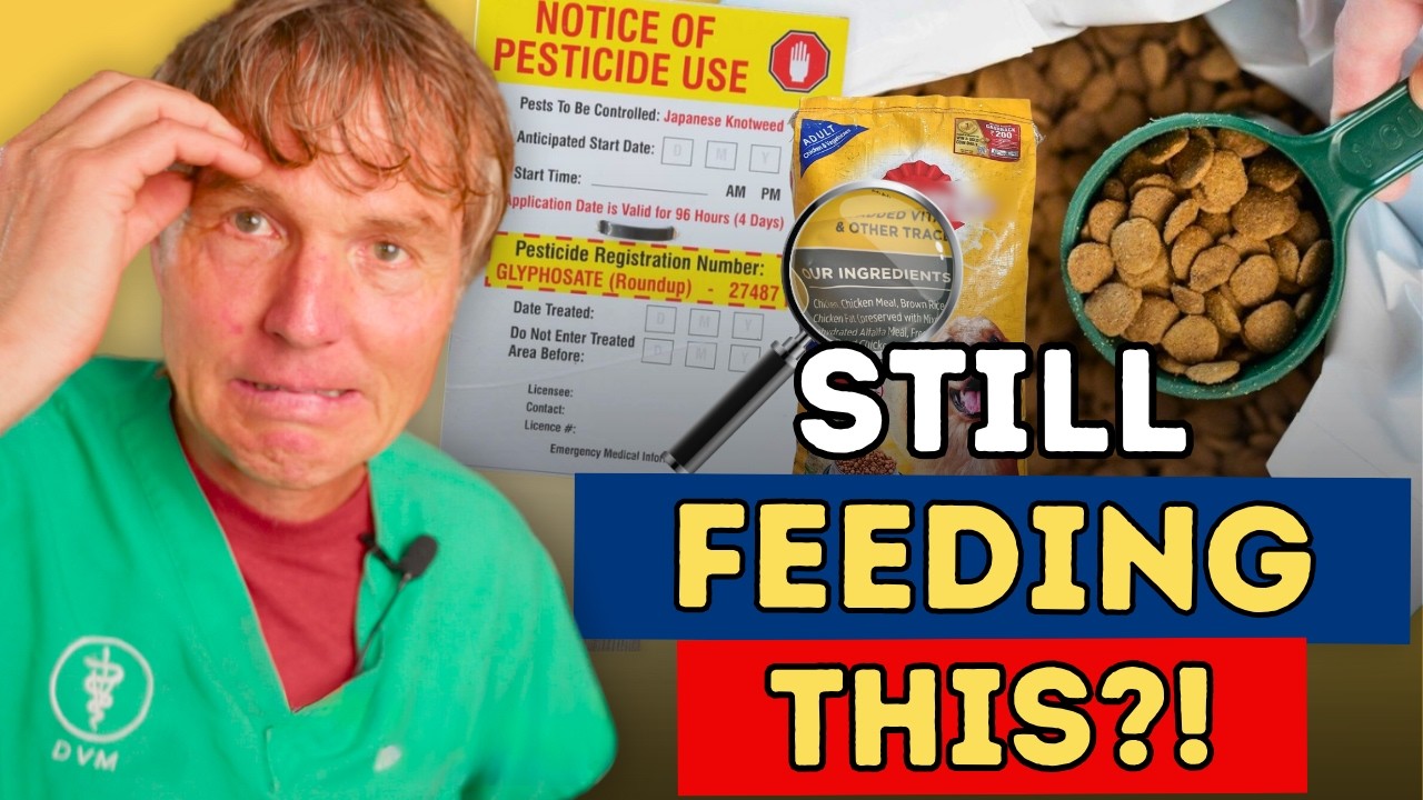 What’s Poisoning Our Pets in 2025? The TRUTH + What I Feed My Dog and Cat