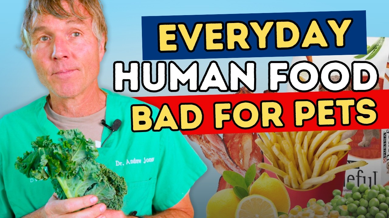The 7 Worst Foods for Your Dog’s Gut and the Best Alternatives to Try