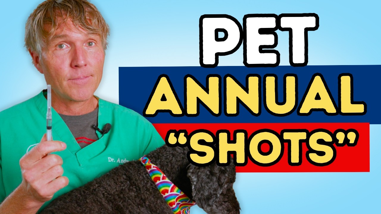 Do Dogs & Cats Still Need Vaccines in 2025?– Essentials vs Optional Explained