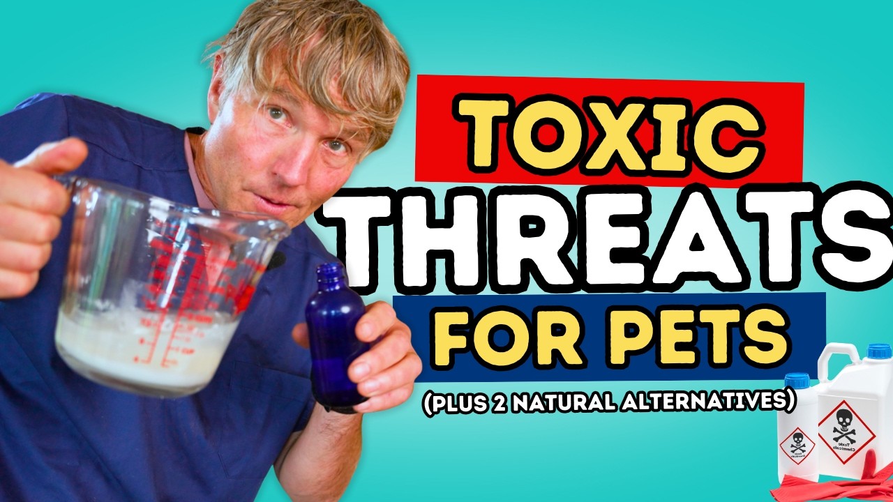Hidden Household Chemicals That Can Harm Your Pets + Safe DIY Alternatives