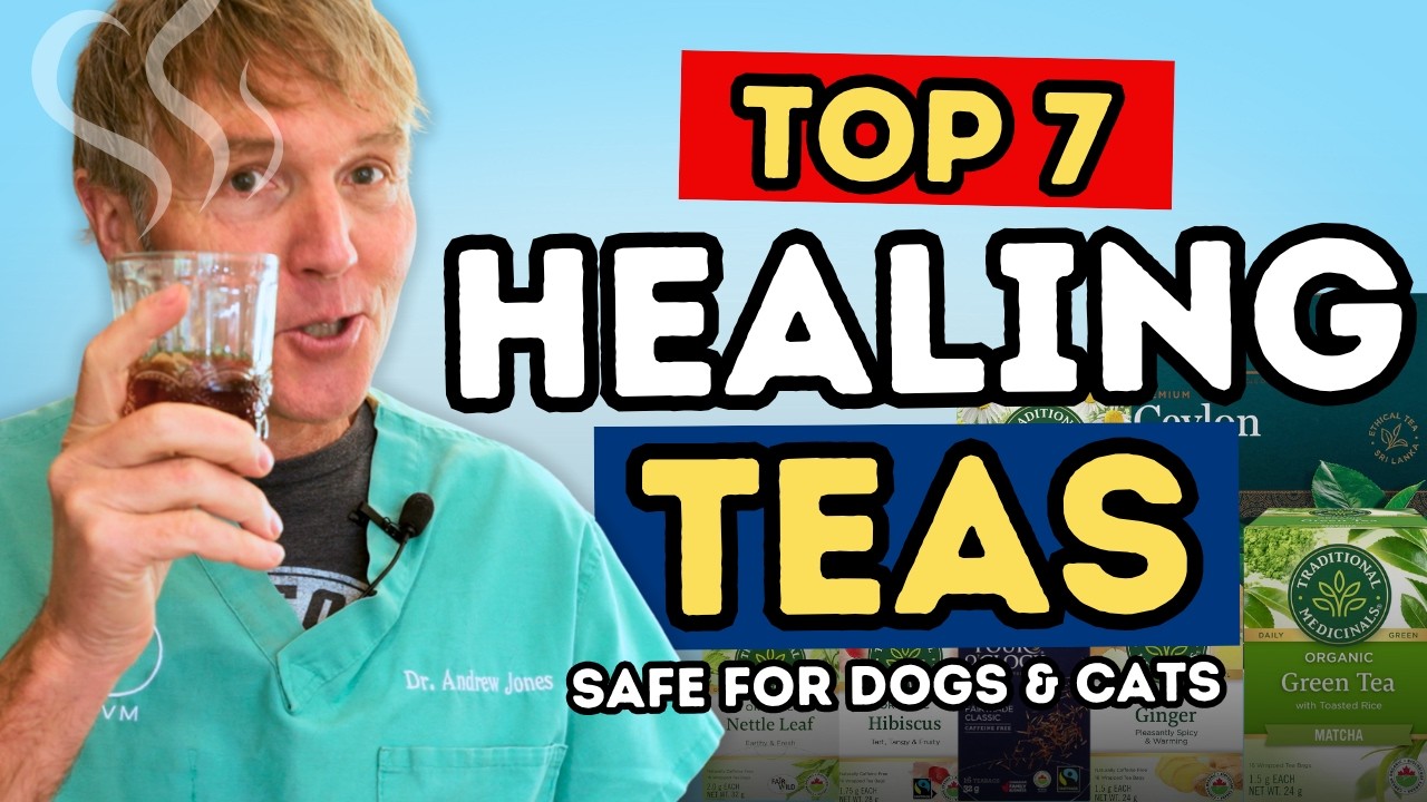 7 Healing Teas for Dogs and Cats: Natural Pet Remedies You Can Make at Home