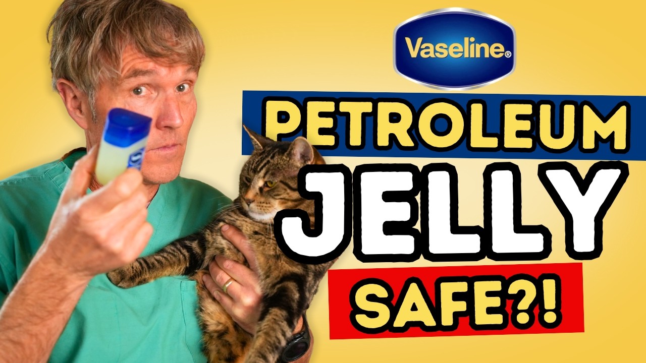 Is Vaseline Safe for Dogs and Cats? What Pet Owners Should Know