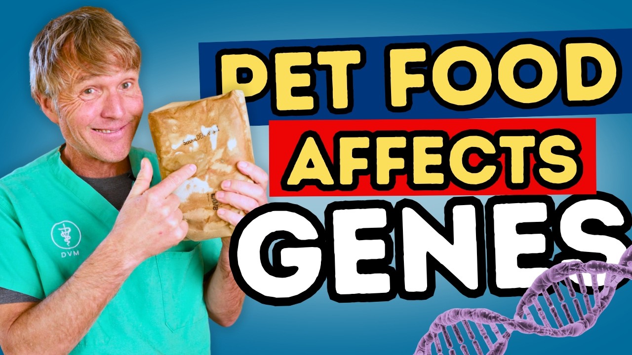 This Is What Food Really Does to Your Dog’s DNA