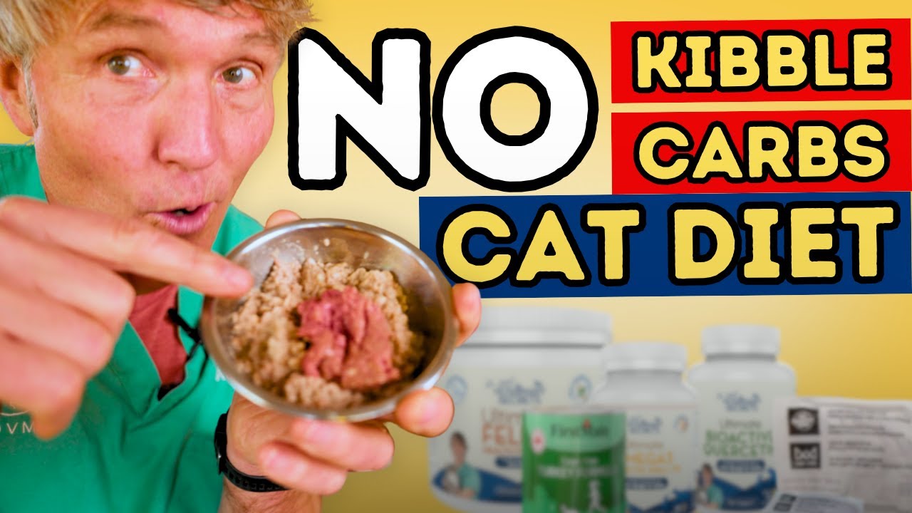 What I Feed My Cat Cassian Every Day: Raw and Rea