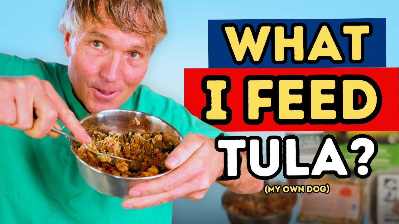 What I Feed My Dog Every Day: Dr. Andrew Jones’ Real Food Routine