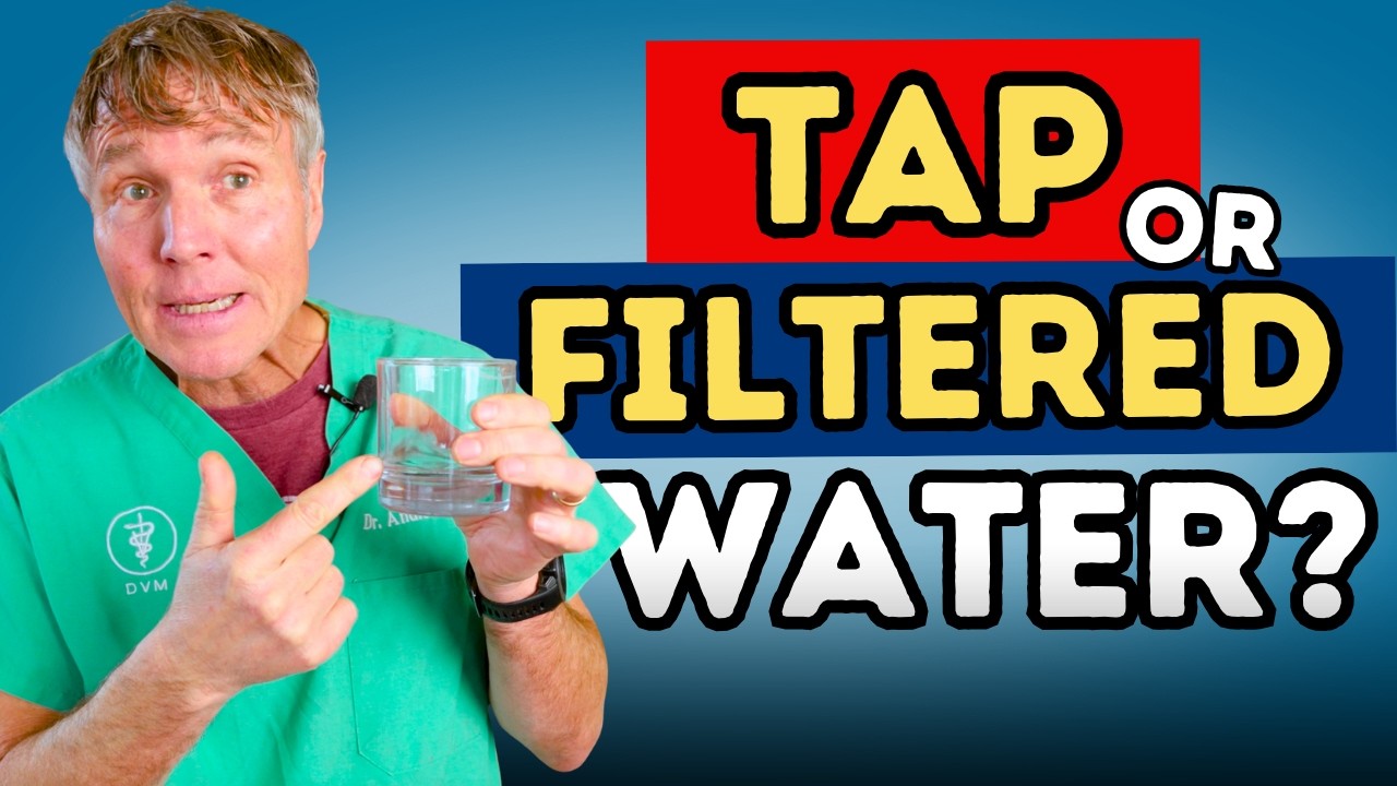 Do You Let Your Pets Drink Tap Water? Here’s Why I Stopped