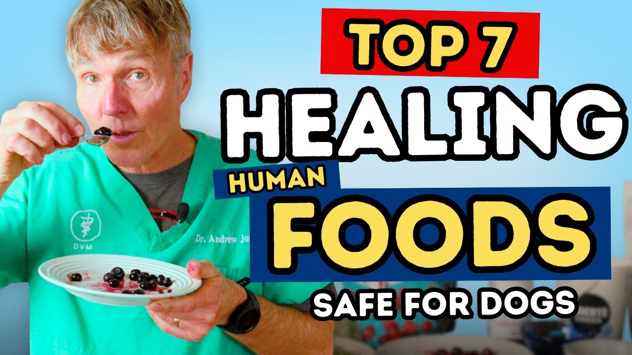 Dr. Andrew Jones’ Top 7 Foods for Dog Longevity