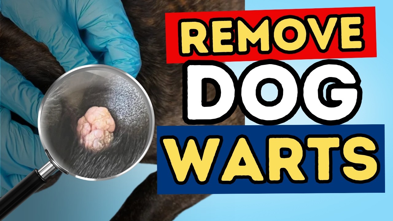 How to Remove Dog and Cat Warts Naturally (No Surgery Needed)