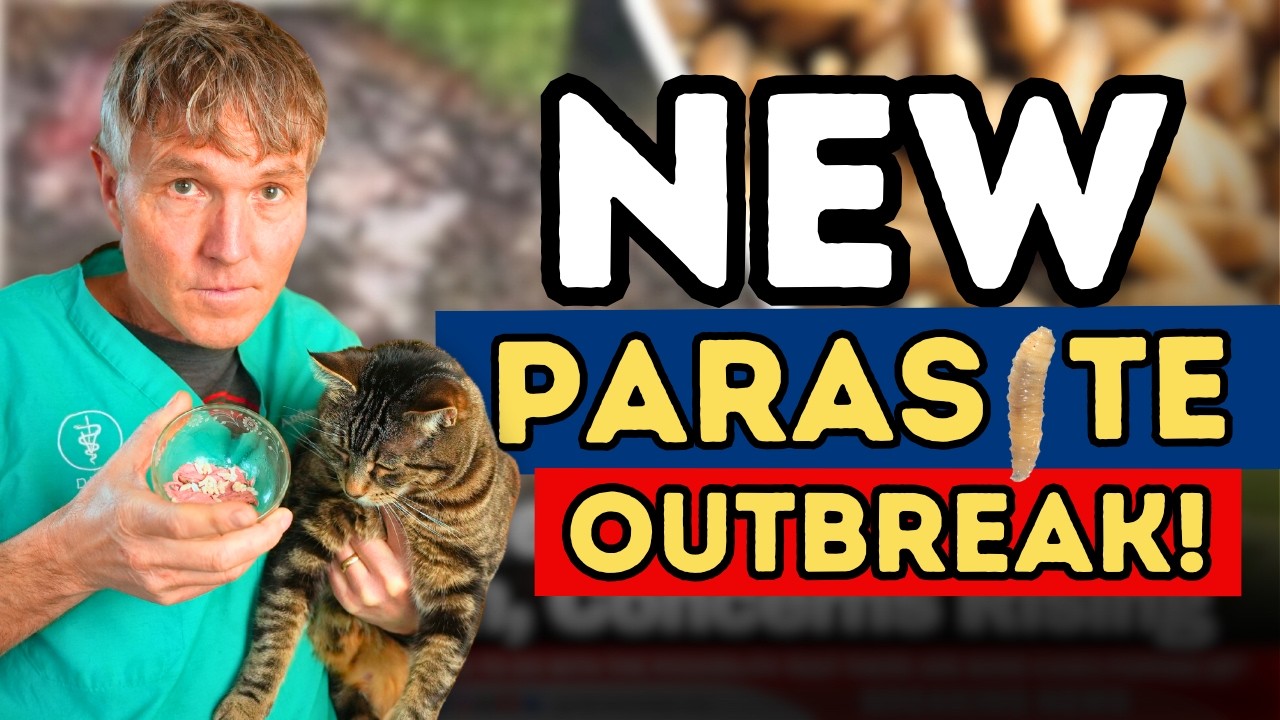 New World Screw Worm: Deadly Parasite Now Threatening Pets