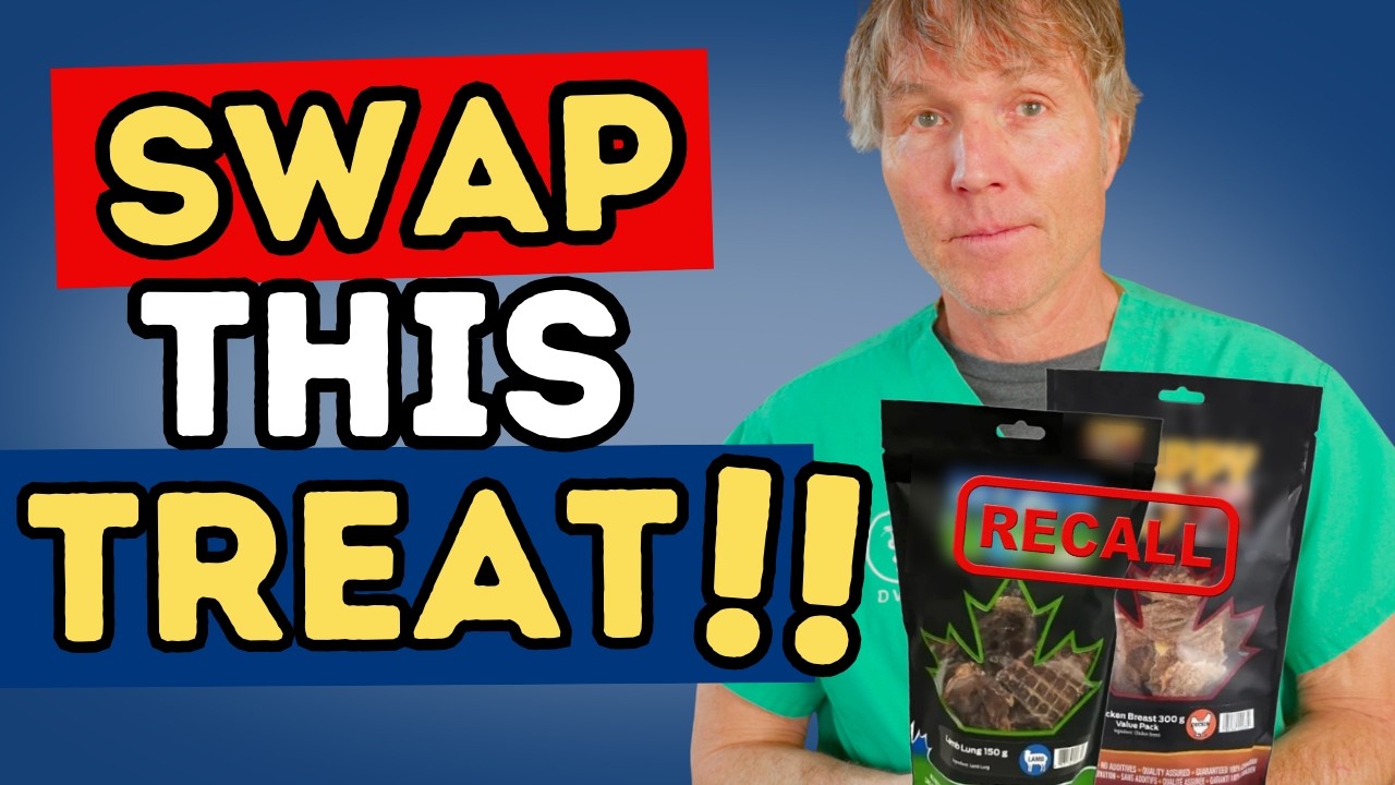 Salmonella in Dog Treats? The Truth About the Puppy Love Recall