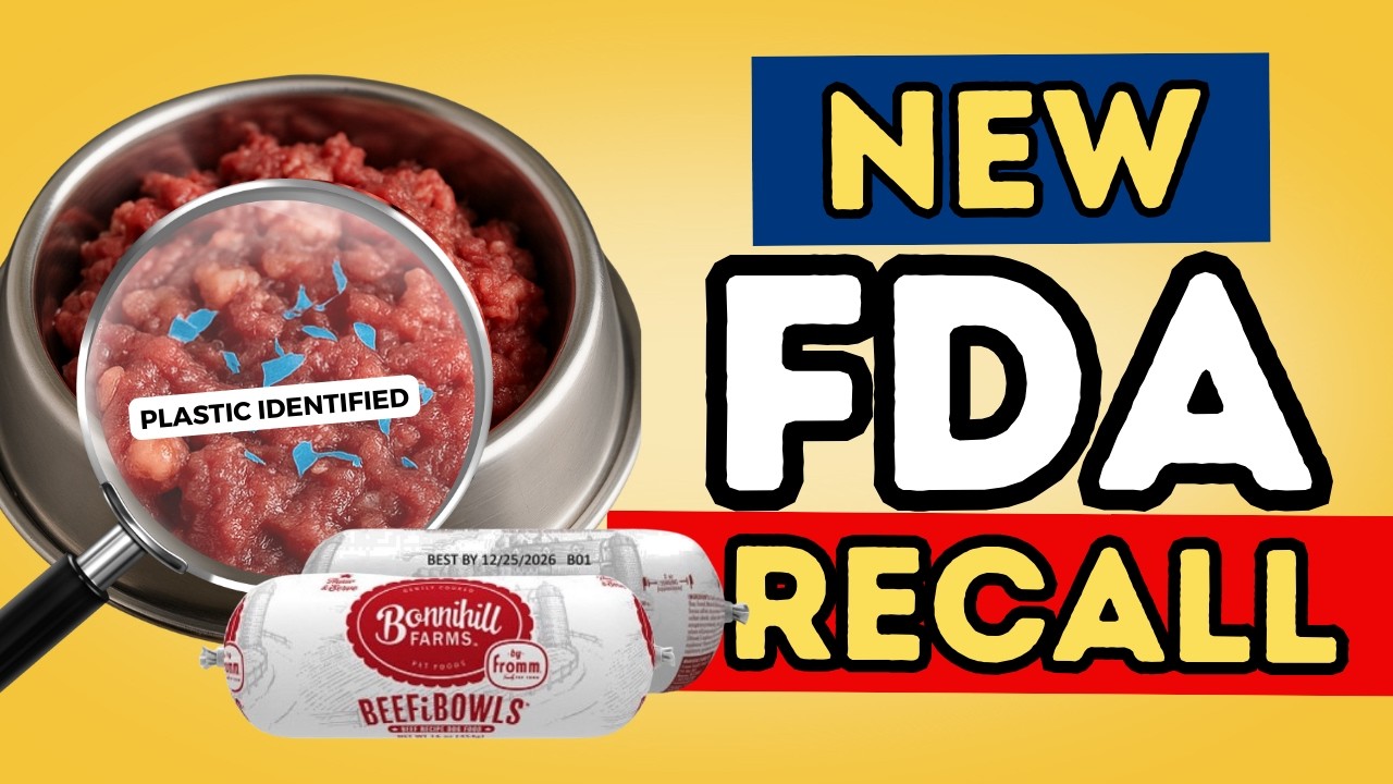 Plastic in Dog Food 2025: Should You Ditch Raw for Kibble?