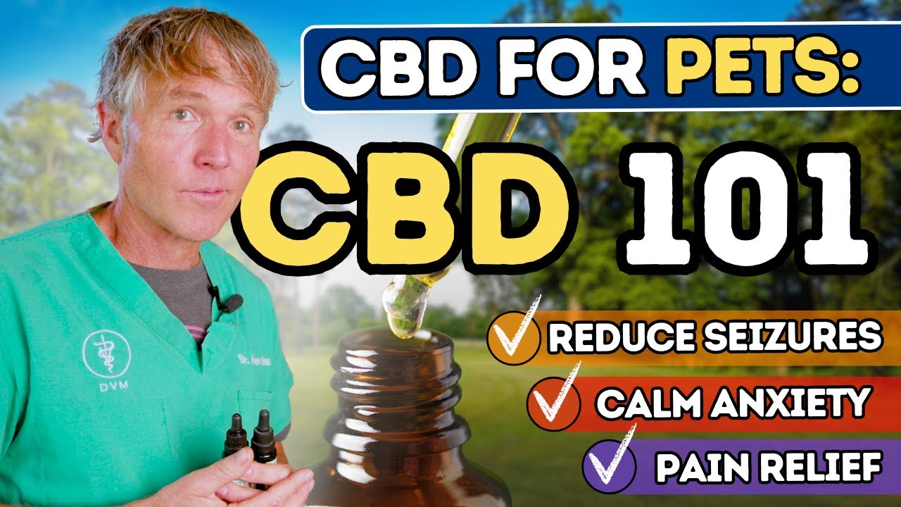 9 Proven Benefits of CBD for Dogs and Cats (New Studies)