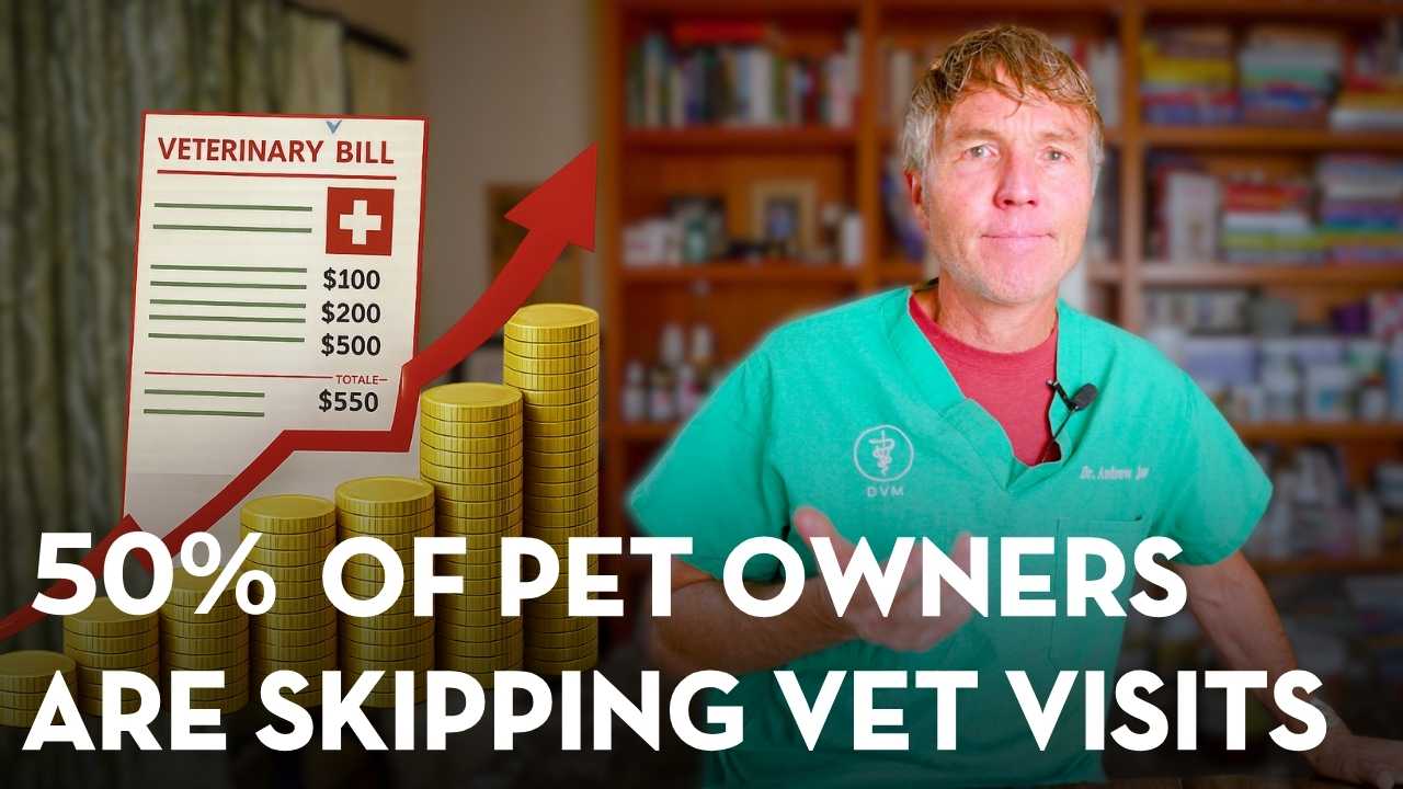 Vet Visits Down, Costs Up: What Pet Parents Should Know