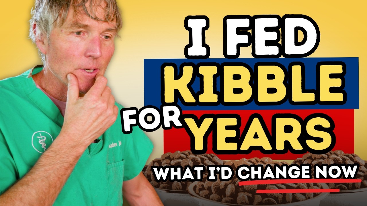 My Regrets About Feeding Kibble (And What I Feed Now)
