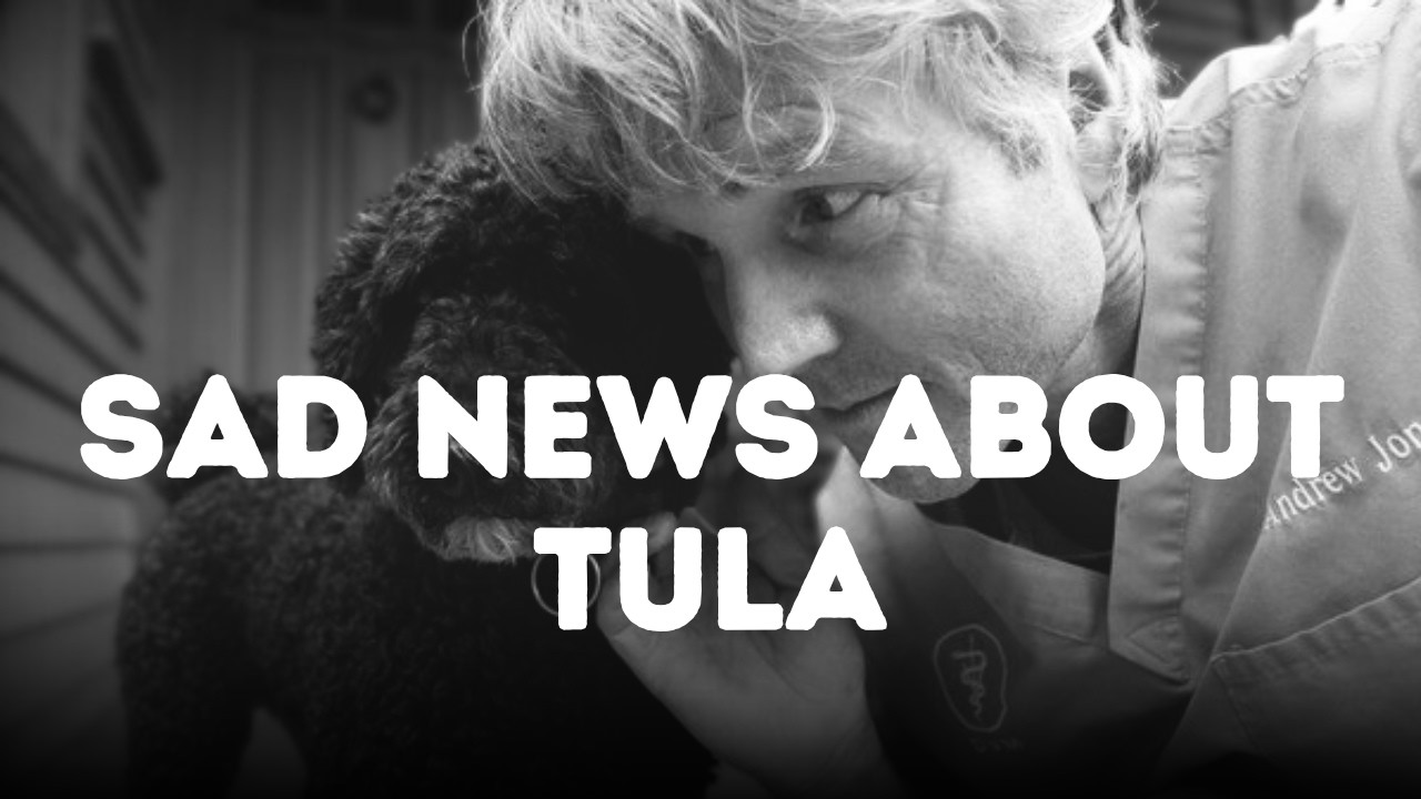 Sad News About Tula