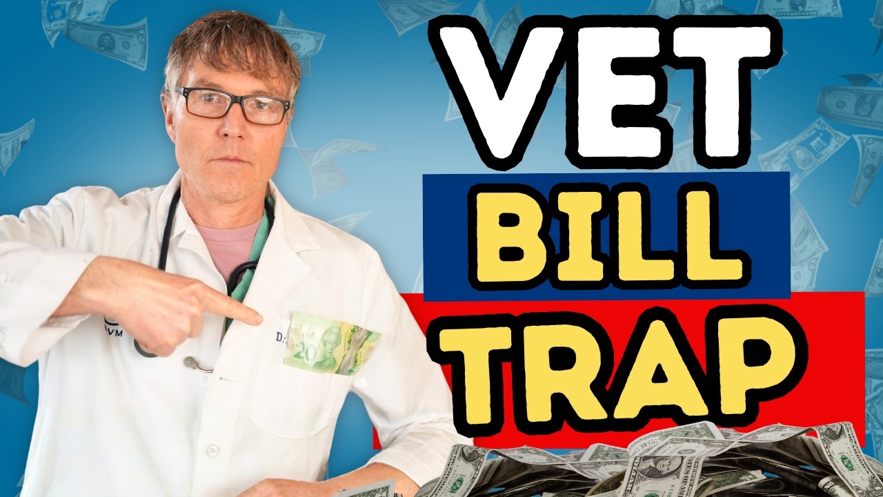 Corporate Vet Clinics: Why Vet Fees Are Rising