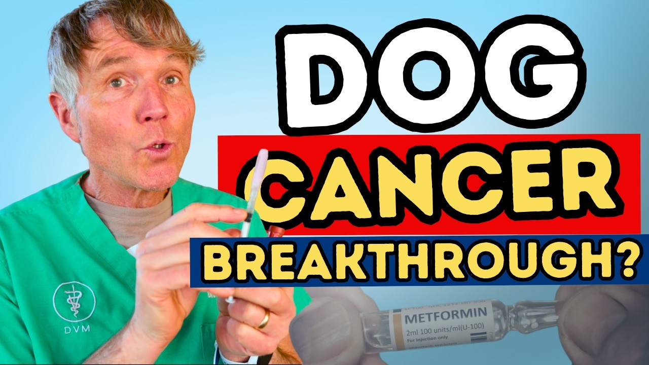 Dog Cancer Breakthrough? Ivermectin + Metformin Study Explained