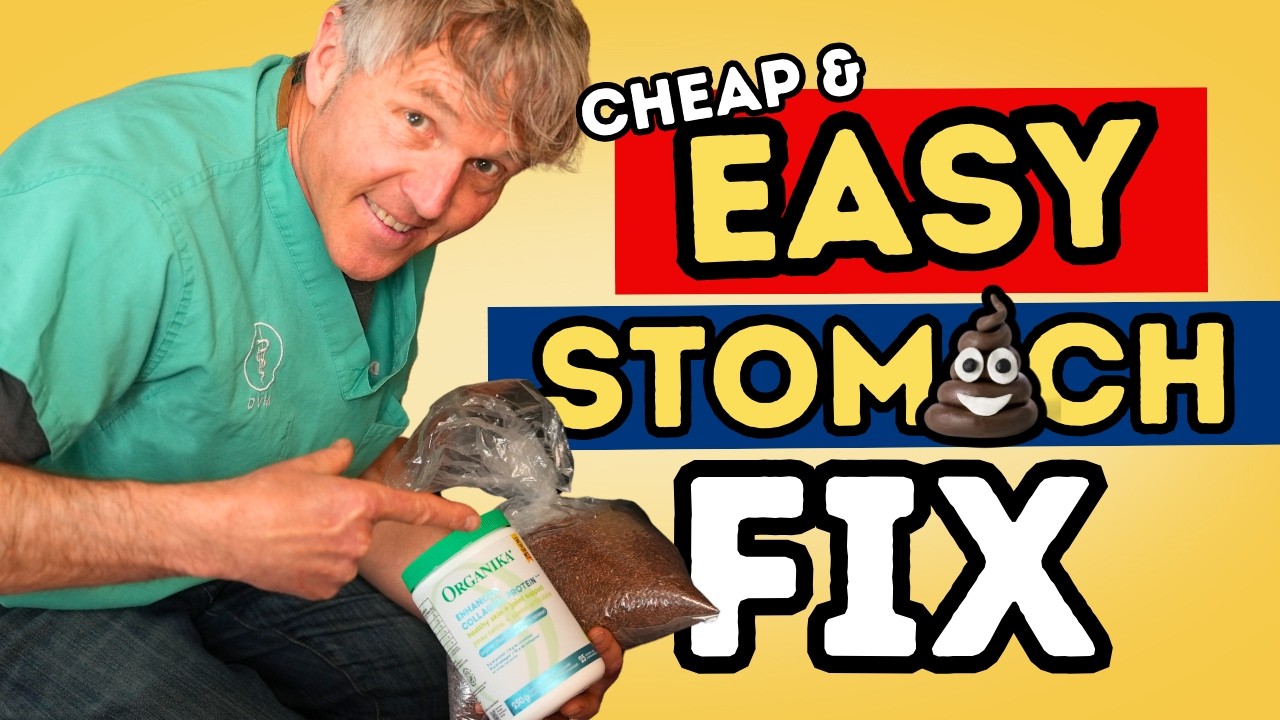 Dog & Cat Stomach Problems? 5 Easy Natural Remedies That Work