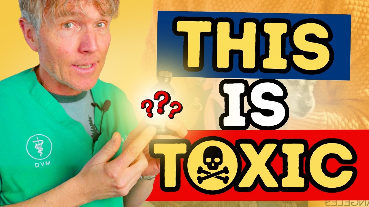 Xylitol in Dog Medication: How a Compounded Prescription Nearly Killed a Dog