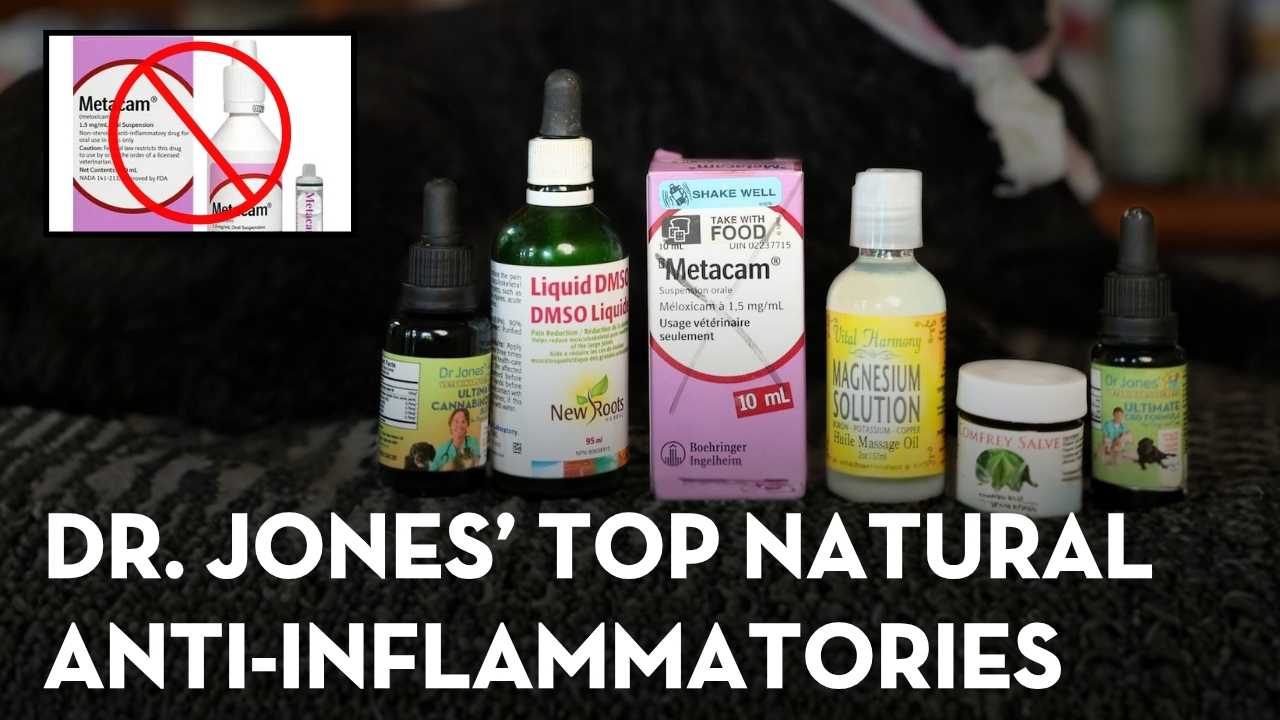 Dr Jones’ TOP Natural Anti-Inflammatories for Dogs and Cats: Safer Alternatives to NSAIDs for Dogs and Cats