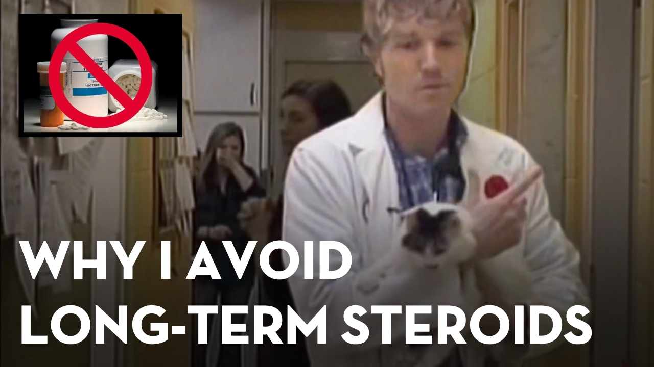 Prednisone Side Effects Pets: Why I Avoid Long-Term Steroids for Itching