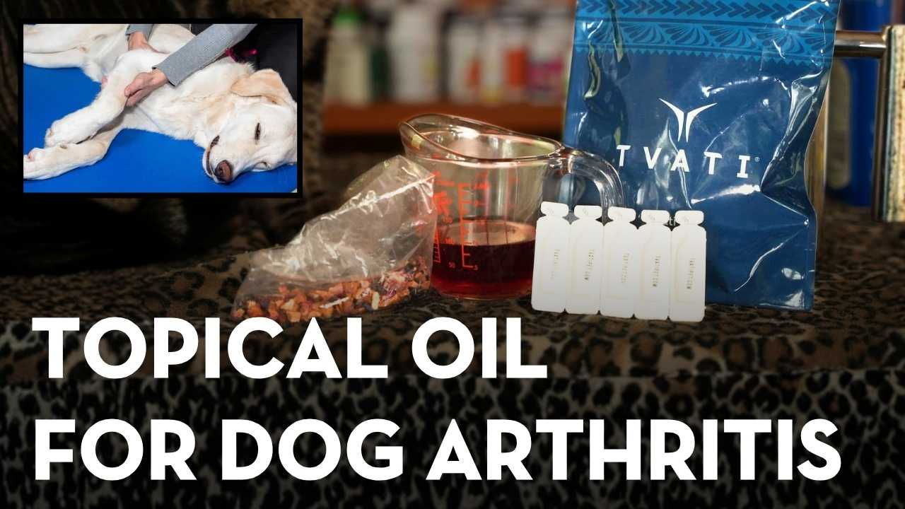 Tvati Oil for Dogs: South Pacific Topical Relief for Joint Pain, Inflammation, and Healing
