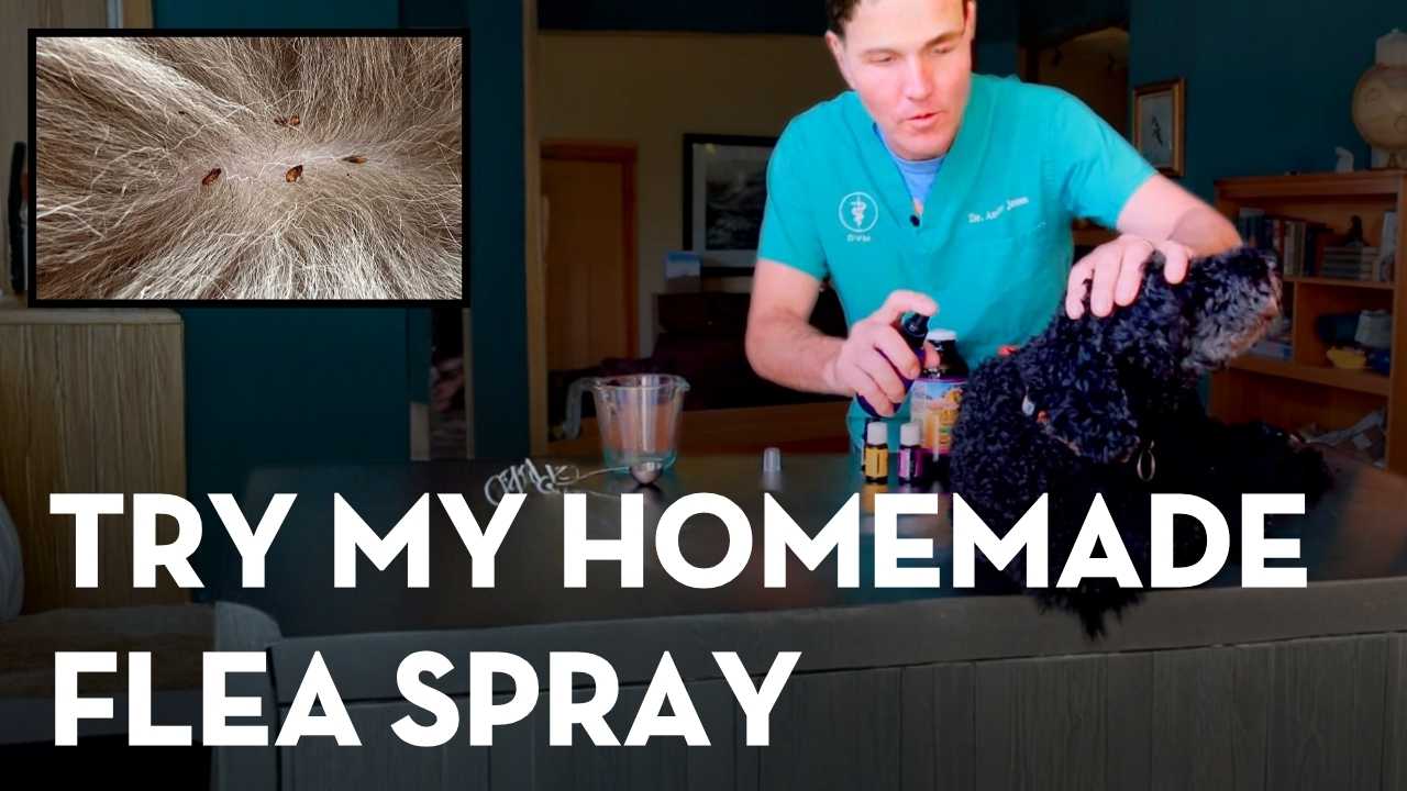 NEW Natural Oral Flea and Tick Prevention: Diatomaceous Earth, Brewer’s Yeast, and a DIY Flea Spray That Works
