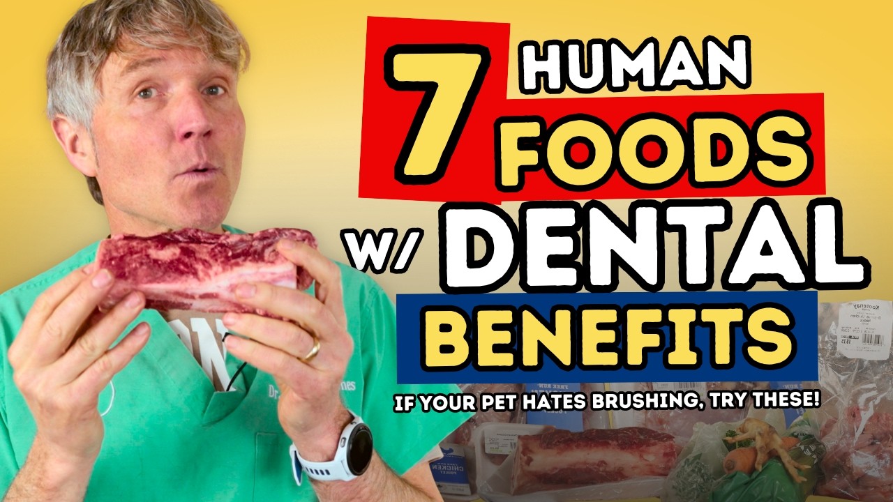 Foods for Pet Teeth: 7 Chewy Options That Help Plaque and Bad Breath