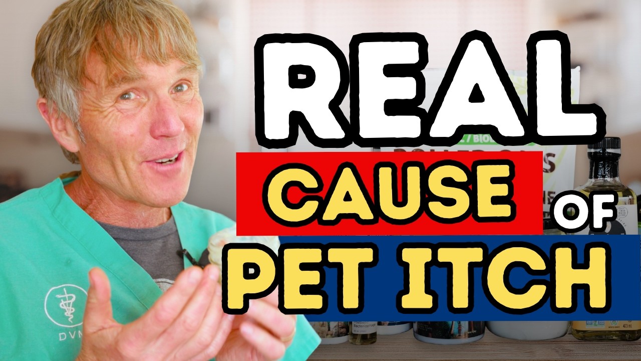 Pet Allergy Skin Barrier: The Real Cause of Itchy Dogs and Cats