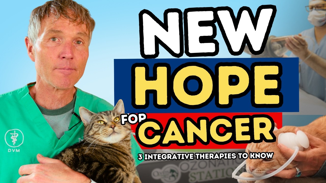 Integrative Pet Cancer Therapies: IV Vitamin C, Mistletoe, and Ozone (What to Know)