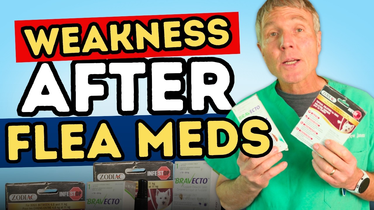 Before Giving Flea and Tick Medication: What Dog and Cat Parents Should Know