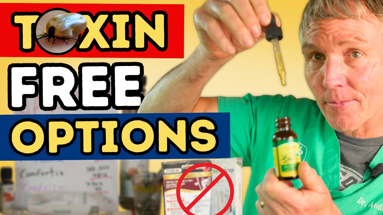 Flea and Tick Prevention Without Harsh Chemicals: Natural Options for Dogs and Cats