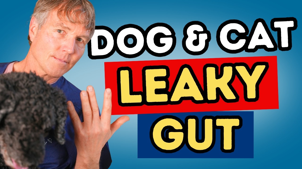 Leaky Gut in Dogs and Cats: Signs, Causes, and Natural Gut Repair Solutions