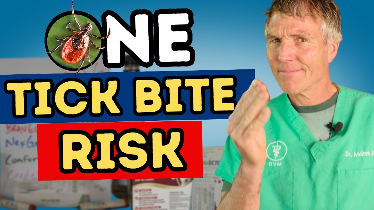 Anaplasmosis in Dogs and Cats: Signs, Treatment, and Tick Prevention