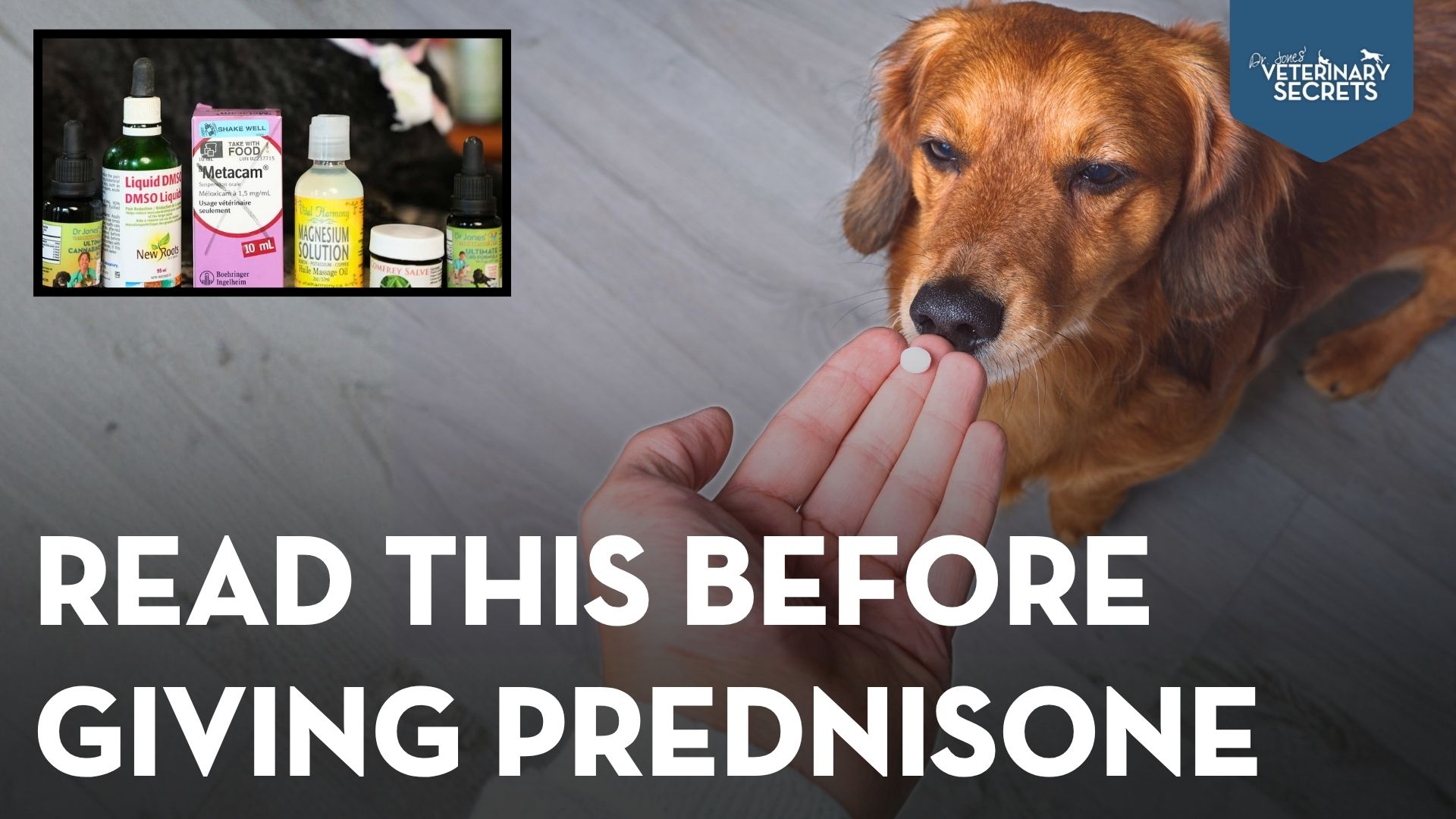 Prednisone Side Effects in Dogs and Cats: What to Know