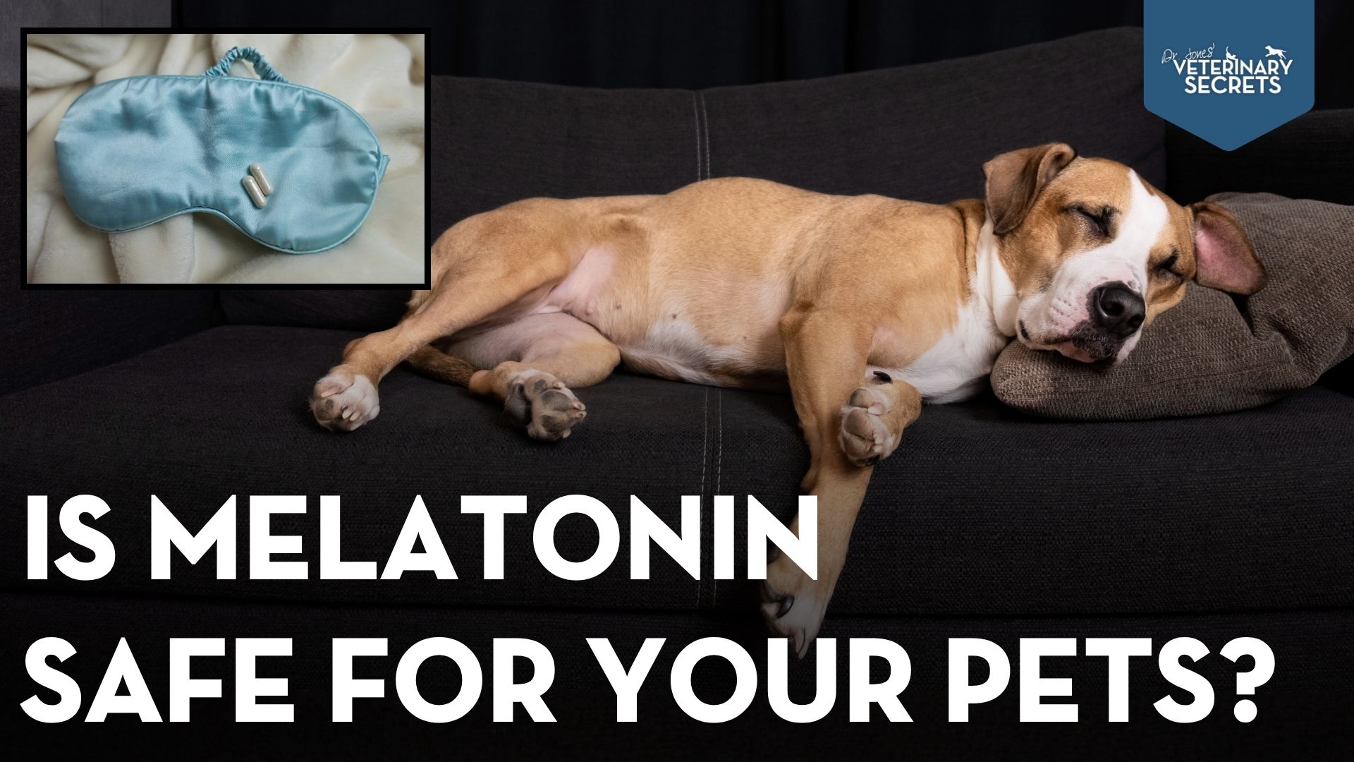 Melatonin for Anxious Dogs and Cats: 10 Health Benefits, Dosage, Side Effects, and Anxiety Relief