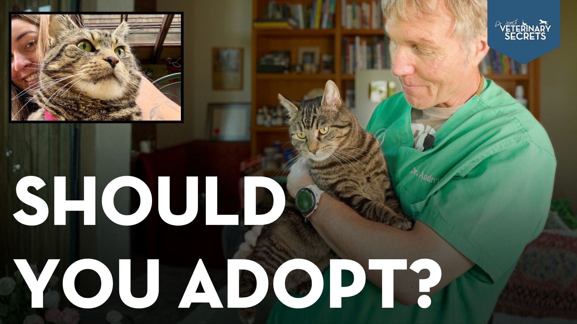 Adopt a Shelter Pet: What to Expect and How to Help Them Adjust